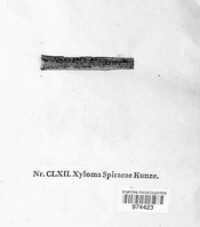 Xyloma spireae image